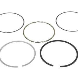 Set segmenti piston   800054110000